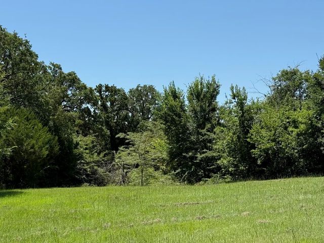 52 Coyote Creek Drive, Gordonville, TX 76245