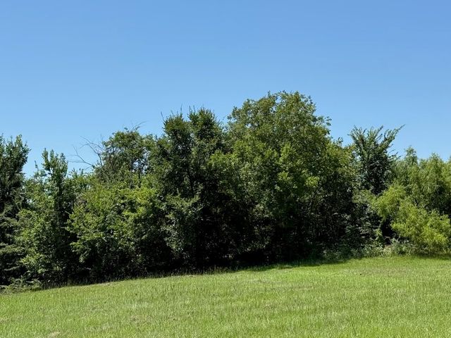 52 Coyote Creek Drive, Gordonville, TX 76245