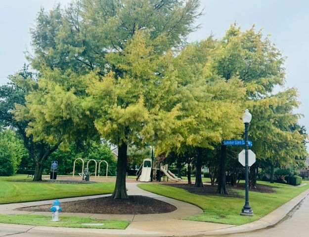 7308 Summer Glen Drive, Mckinney, TX 75072