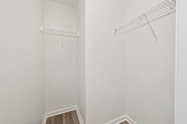 22851 Twisting Pine Drive, Spring, TX 77373
