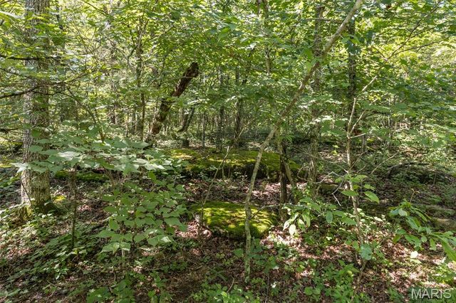 5 Cedar Hollow Road, Fletcher, MO 63030