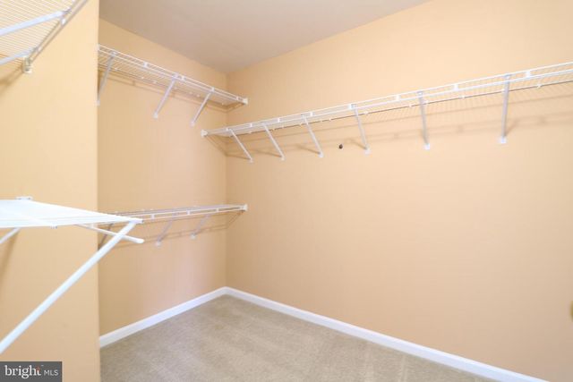 25497 CARRINGTON DR, Chantilly, VA 20152