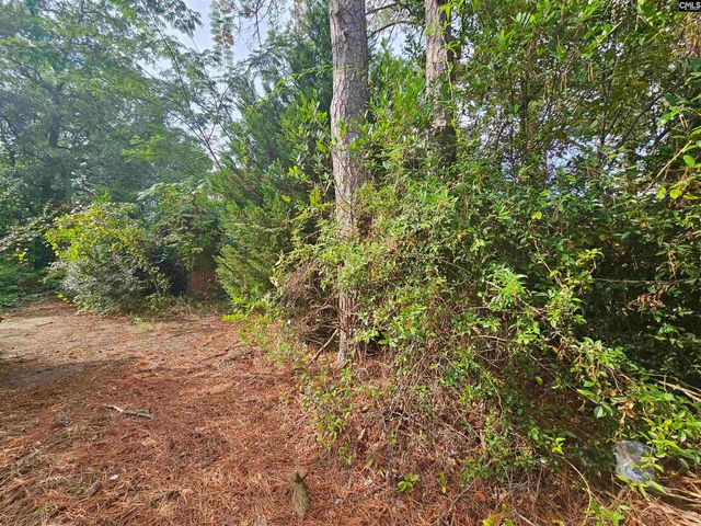 1921 Edgehill Road, Columbia, SC 29204