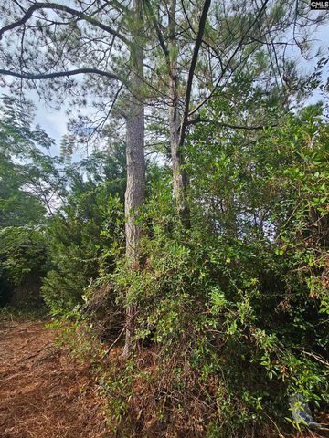 1921 Edgehill Road, Columbia, SC 29204