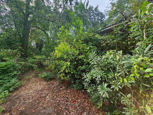 1921 Edgehill Road, Columbia, SC 29204