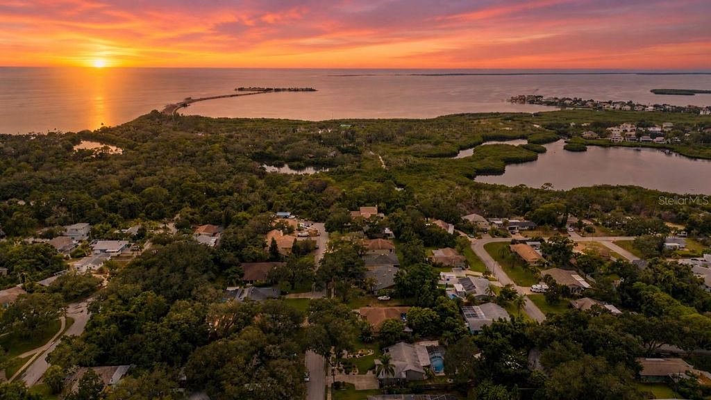 1706 AVOCA DRIVE, Tarpon Springs, FL 34689