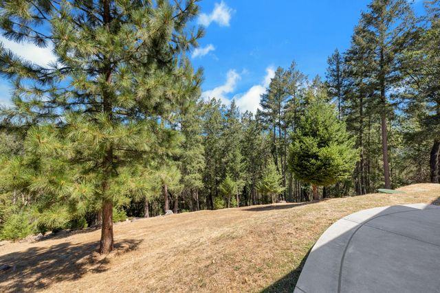 21895 One Fine Pl, Colfax, CA 95713