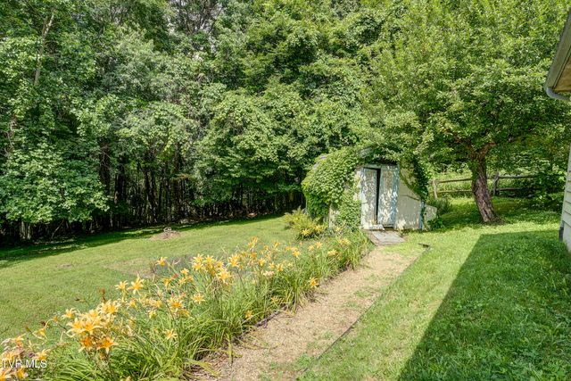 102 Orchard Meadows Lave Lane, Roan Mountain, TN 37687