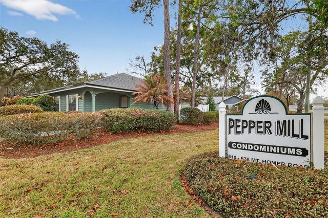 610 MOUNT HOMER ROAD 610, Eustis, FL 32726