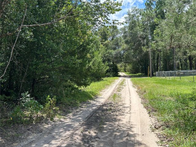 0000 NE 157TH TERRACE, Williston, FL 32696