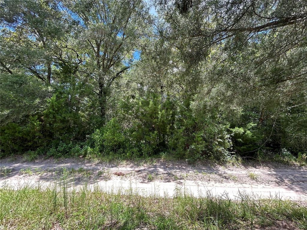 0000 NE 157TH TERRACE, Williston, FL 32696