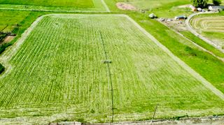 NKA Maple Grove Rd, Sunnyside, WA 98944