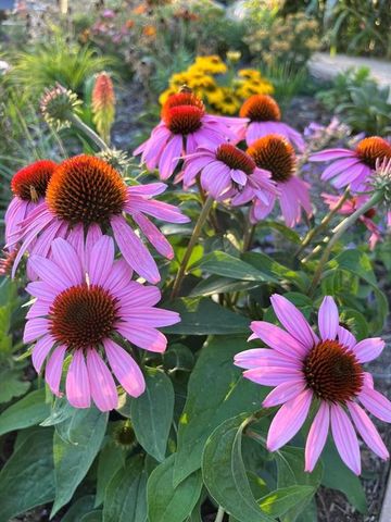 310 E Emma Avenue, Des Moines, IA 50315