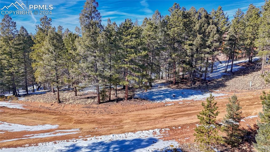 79 Huntsman Circle, Florissant, CO 80816 — exterior