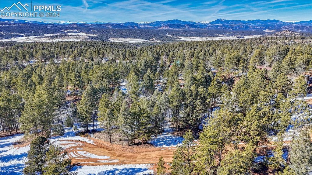79 Huntsman Circle, Florissant, CO 80816 — photo 2