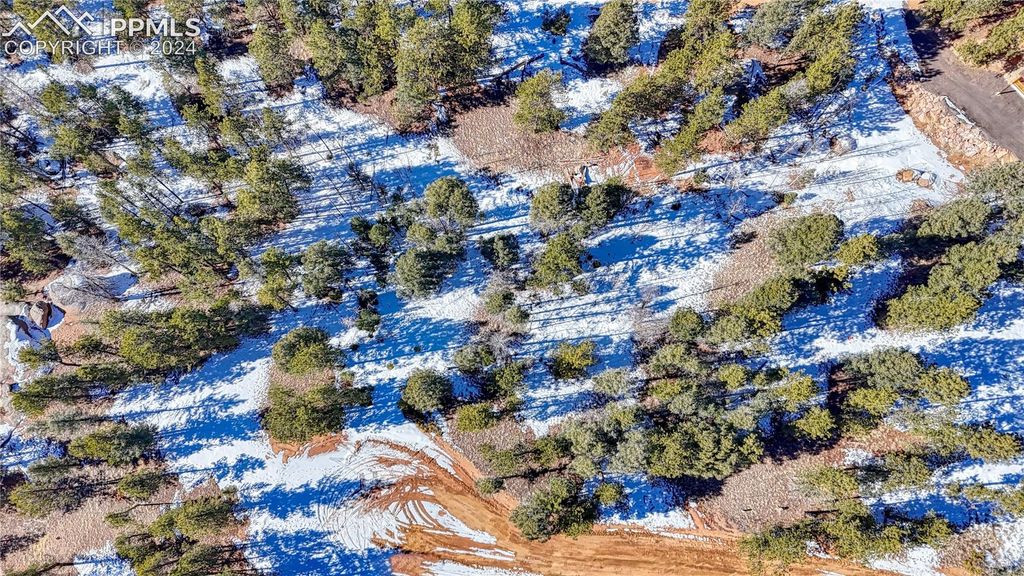 79 Huntsman Circle, Florissant, CO 80816 — photo 3