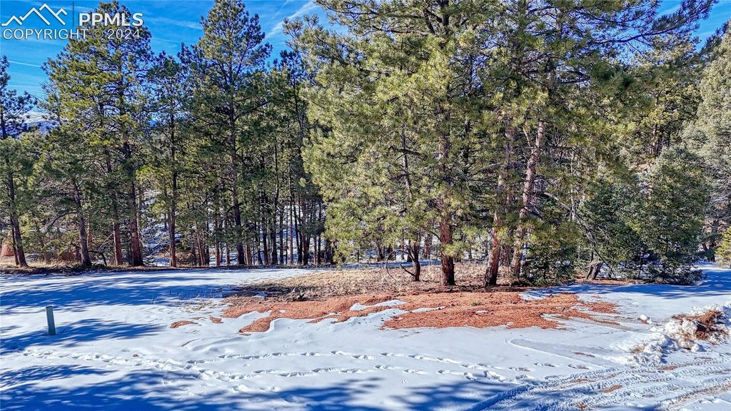 79 Huntsman Circle, Florissant, CO 80816 — photo 4