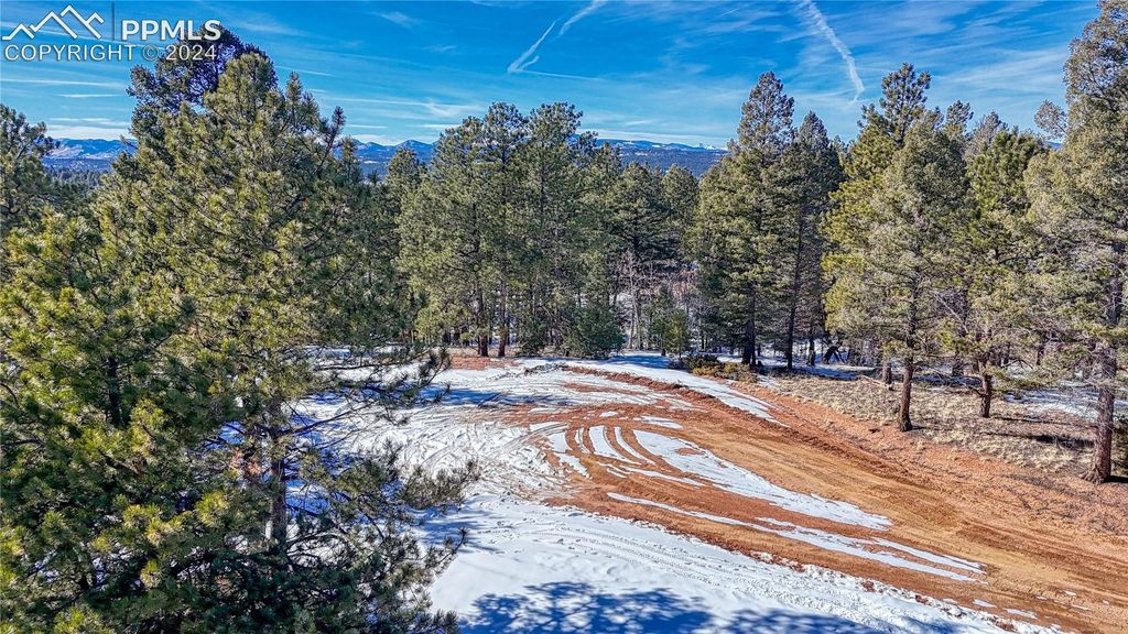 79 Huntsman Circle, Florissant, CO 80816 — photo 5