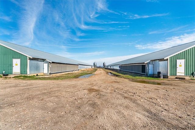 TBD Rock Springs Road, Lincoln, AR 72744