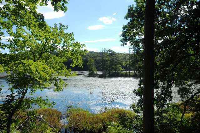 111 South Great Rd, Lincoln, MA 01773