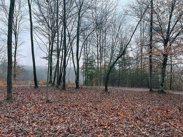 Lot 87 Stillwater, Russell Springs, KY 42642