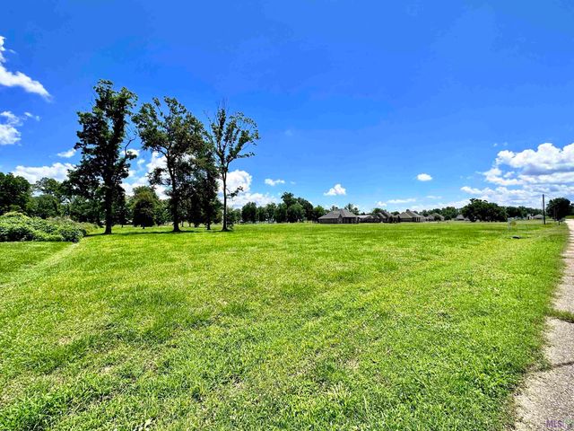 3224 Stanford Levy Rd, Darrow, LA 70725