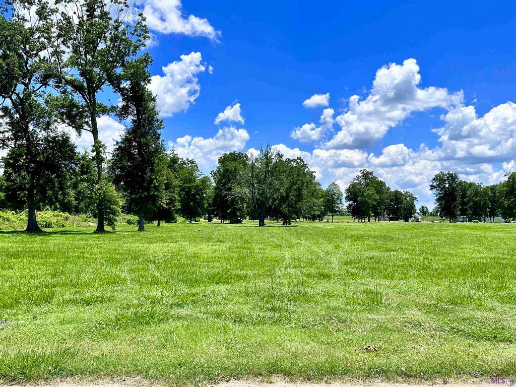 3224 Stanford Levy Rd, Darrow, LA 70725
