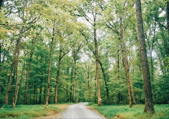 127 Ironhorse Way, Dickson, TN 37055