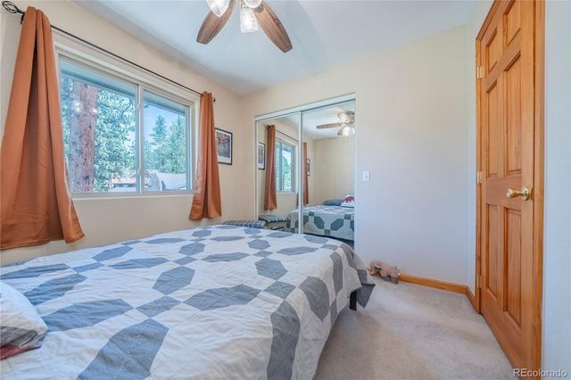 15970 Willow Way, Woodland Park, CO 80863