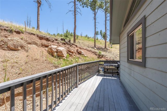15970 Willow Way, Woodland Park, CO 80863