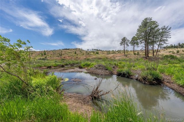 15970 Willow Way, Woodland Park, CO 80863