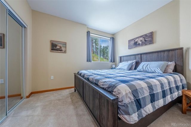 15970 Willow Way, Woodland Park, CO 80863