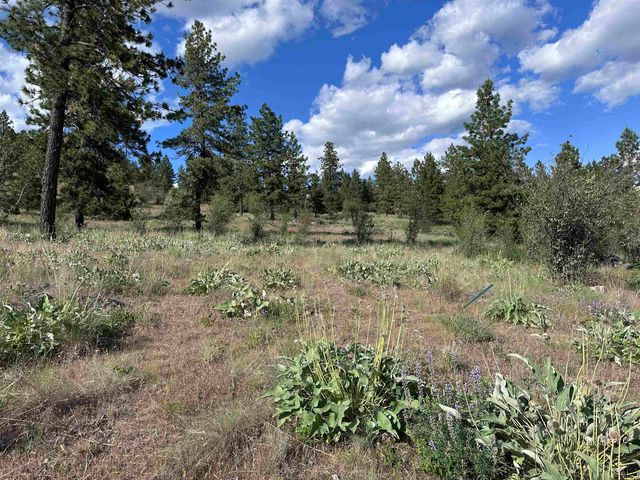 6581 Saddle Mountain Way, Deer Park, WA 99006