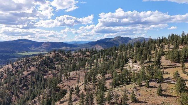 6581 Saddle Mountain Way, Deer Park, WA 99006