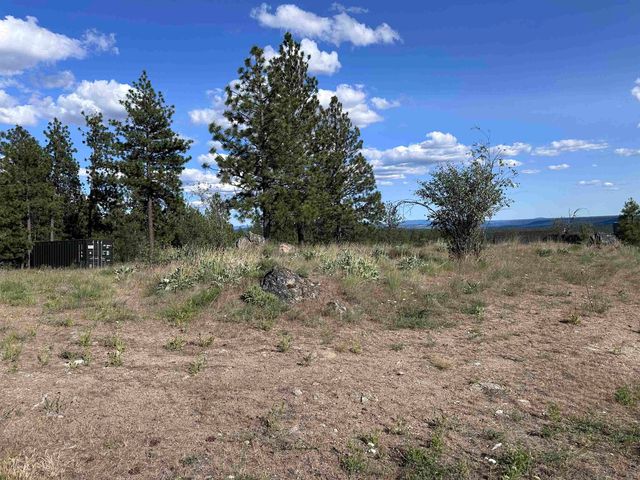 6581 Saddle Mountain Way, Deer Park, WA 99006