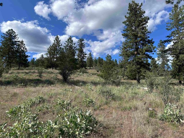 6581 Saddle Mountain Way, Deer Park, WA 99006