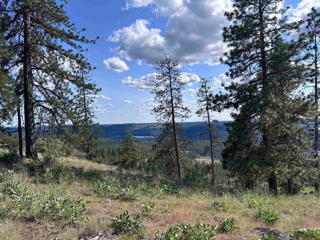 6581 Saddle Mountain Way, Deer Park, WA 99006