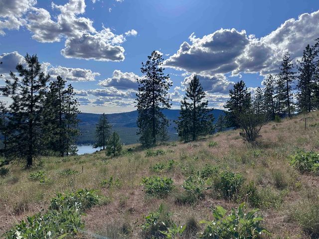 6581 Saddle Mountain Way, Deer Park, WA 99006