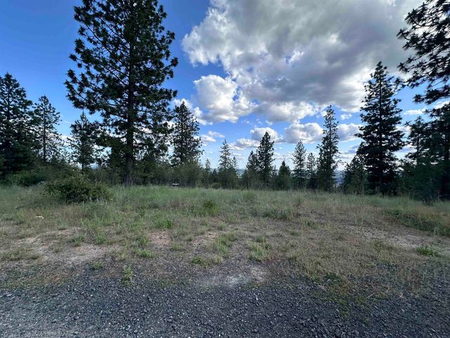 6581 Saddle Mountain Way, Deer Park, WA 99006