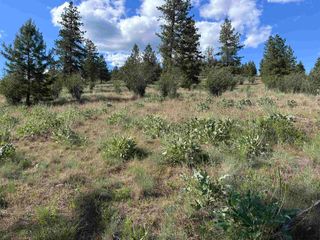 6581 Saddle Mountain Way, Deer Park, WA 99006