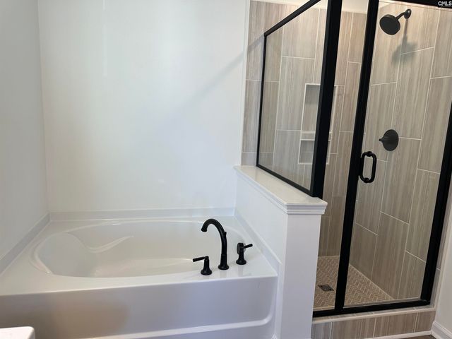 318 Rising Stream Way, Chapin, SC 29036