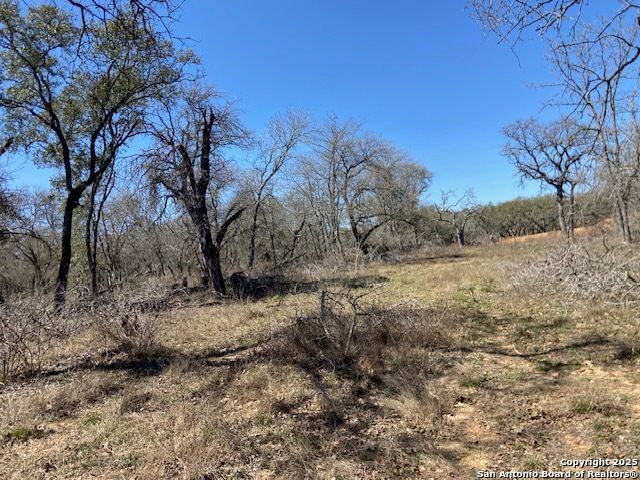 246 Timber, La Vernia, TX 78121