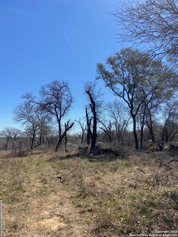 246 Timber, La Vernia, TX 78121