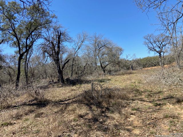 246 Timber, La Vernia, TX 78121