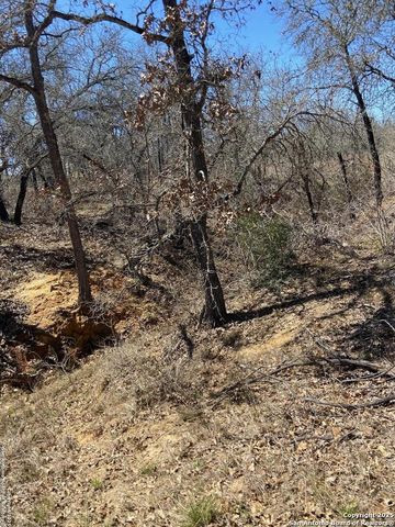 246 Timber, La Vernia, TX 78121