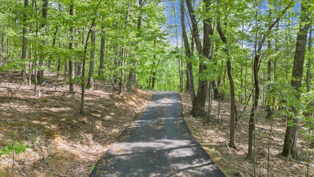 290 Silver Shadow RD, Hardy, VA 24101