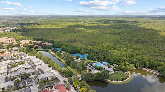 714 SIENA PALM DRIVE 201, Celebration, FL 34747