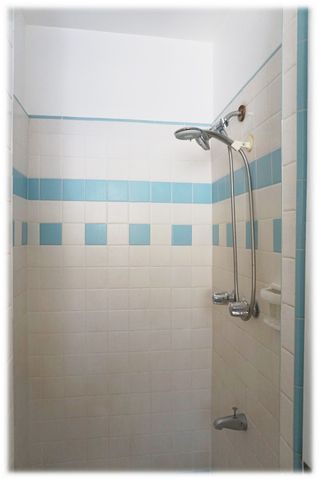 2009 Waiola Street A, Honolulu, HI 96826