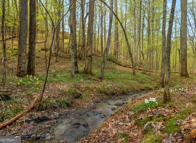 LT 10R Whispering Oaks Drive 10R, Ellijay, GA 30540