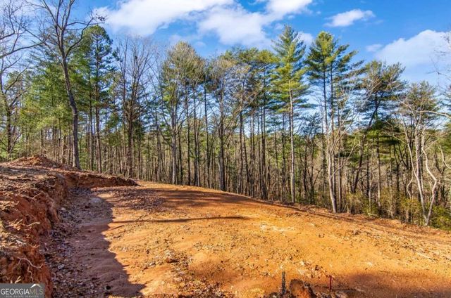 LT 10R Whispering Oaks Drive 10R, Ellijay, GA 30540